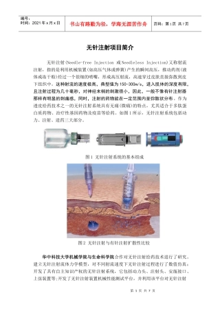 无针注射项目简介doc-无针注射系统简介