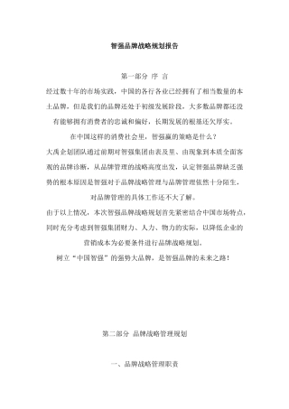 智强品牌战略规划报告