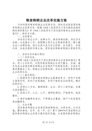 粮食购销企业改革方案