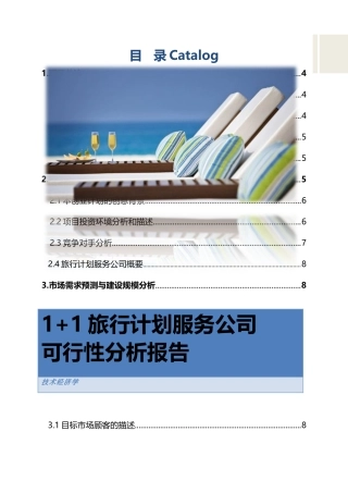 旅游服务商业计划可行性分析报告