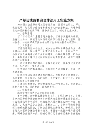 严惩违法犯罪治理非法用工方案