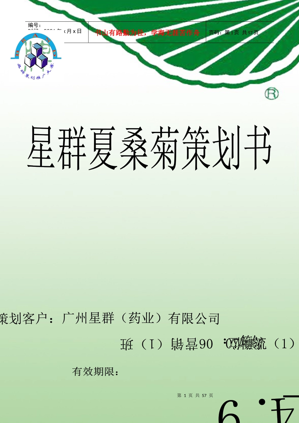 星群夏桑菊品牌策划书_第1页