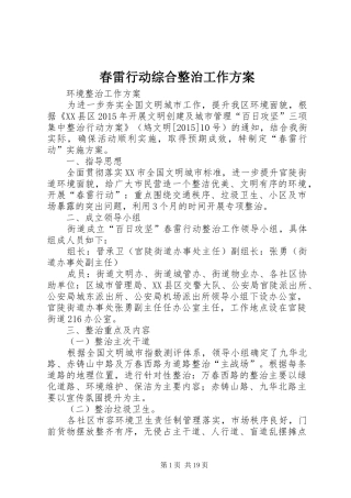 春雷行动综合整治工作实施方案