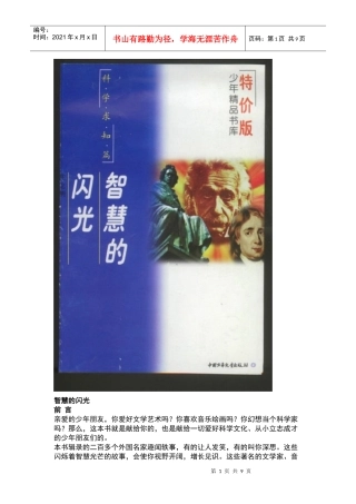 智慧的闪光(书籍)