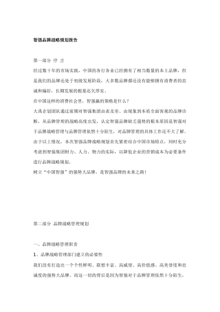 智强品牌战略规划报告分析