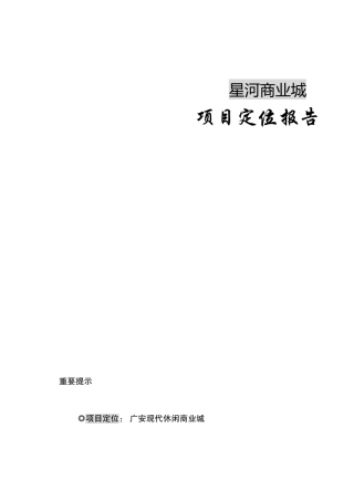 星河商业城项目定位报告(doc63)(1)