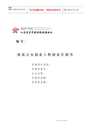 星星之火创业工程创业计划书