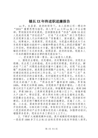 镇长终述职述廉报告