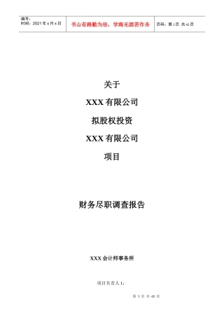 某公司财务尽职调查报告