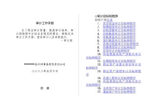某公司审计工作手册