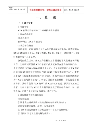 某公司项目可行性研究报告书