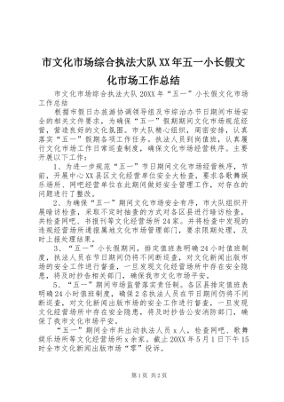 市文化市场综合执法大队五一小长假文化市场工作总结