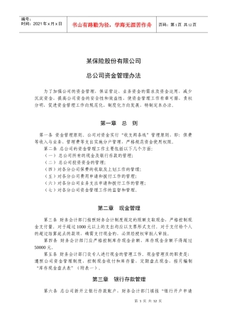 某保险股份公司总公司资金管理办法