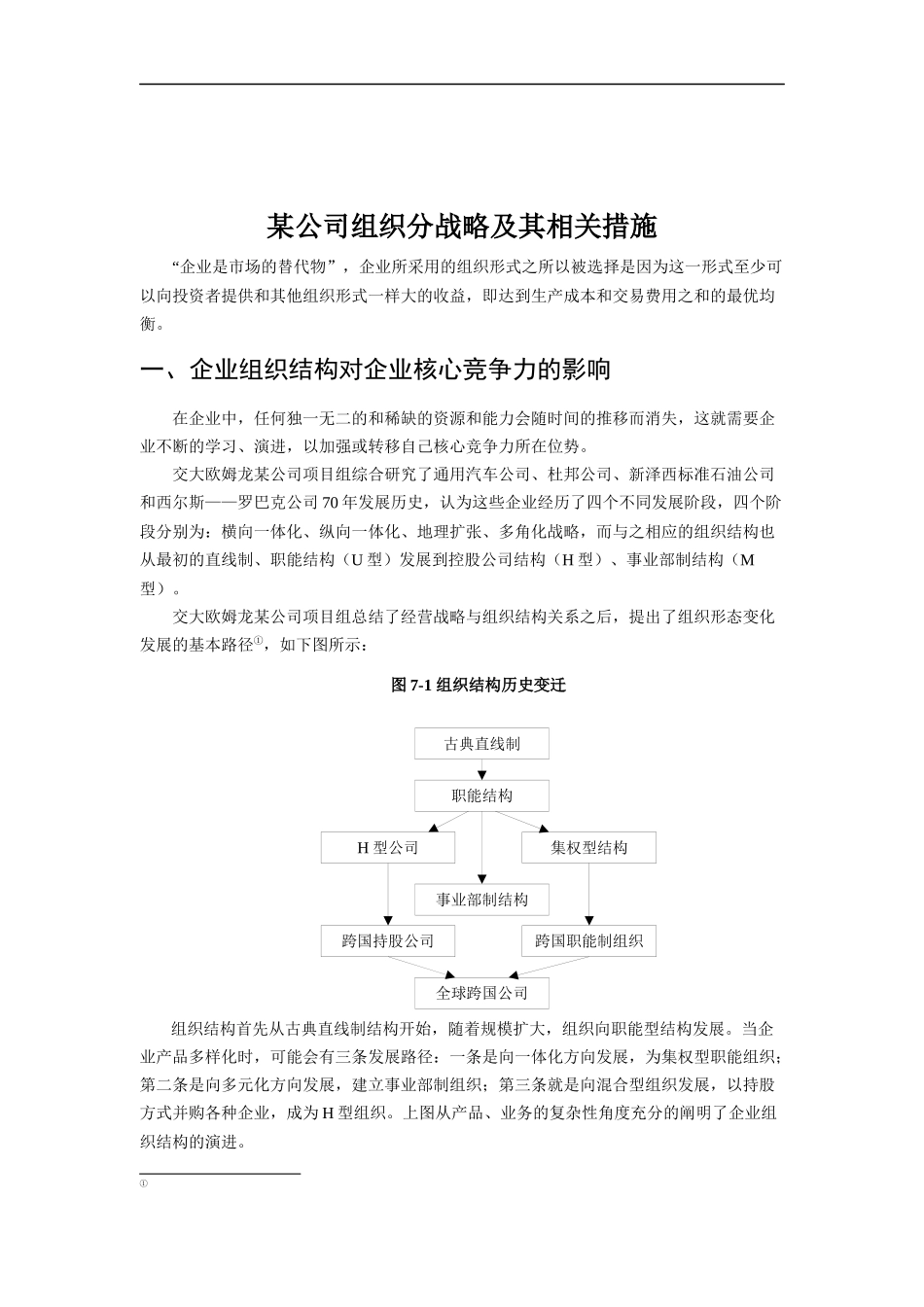 某公司组织分战略及其相关措施_第1页