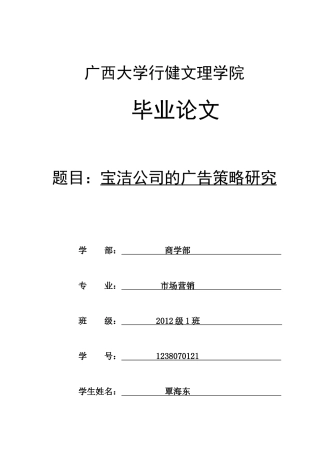 某公司的广告策略研究论文