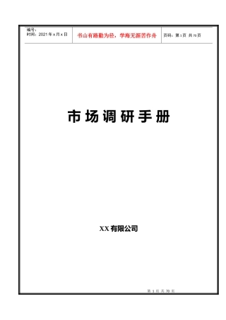 某公司市场调研手册