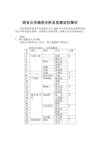 某公司现状分析及发展定位探讨