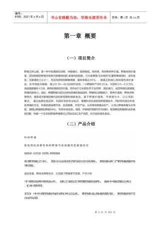 某公司企划书(DOCX 101页)