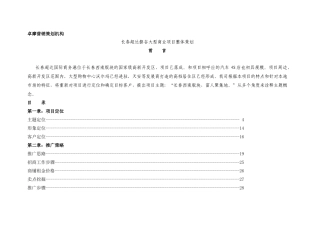 某公司大型商业项目管理整体策划