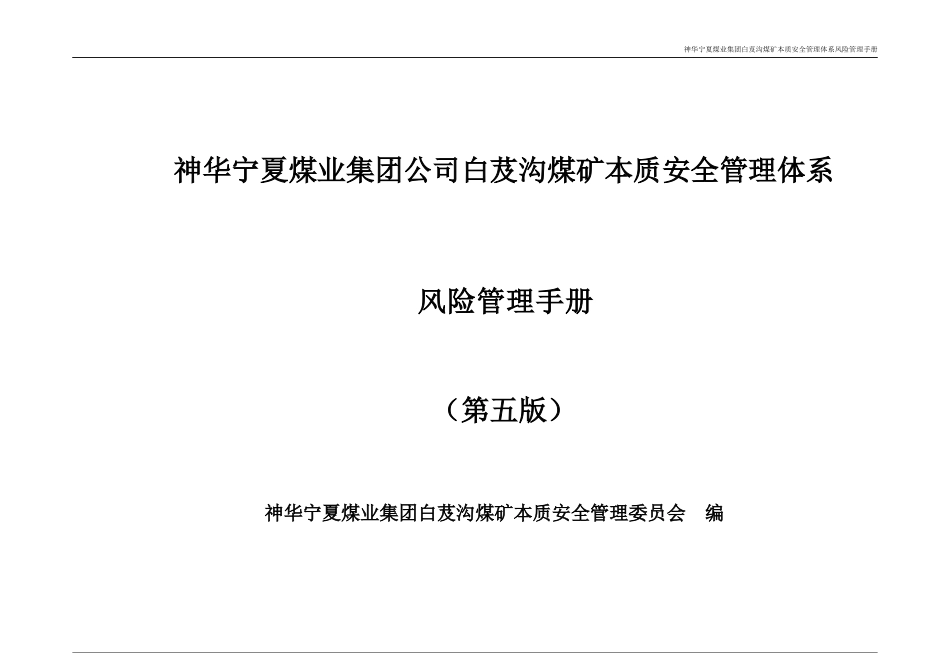 某公司煤矿本质安全管理体系风险管理手册_第1页