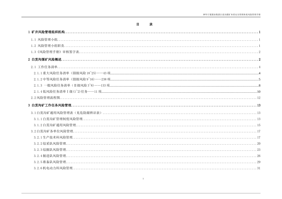 某公司煤矿本质安全管理体系风险管理手册_第2页