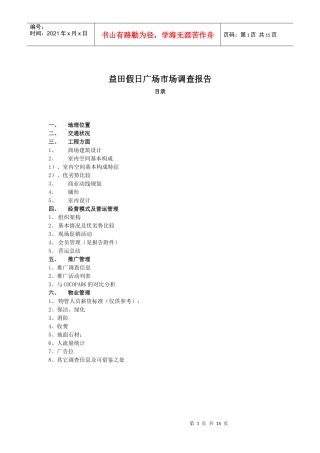 某假日广场市场调查报告