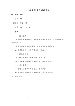 某公司现场应急处置方案