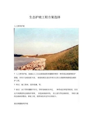 (完整版)生态护坡工程方案选择