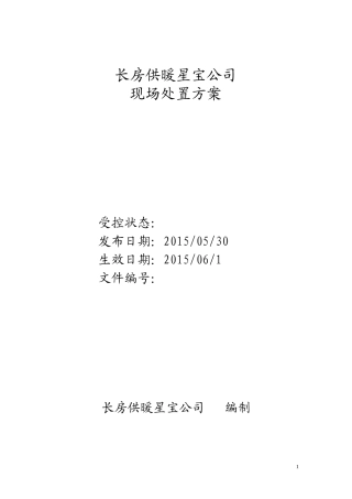 某供暖公司现场处置方案