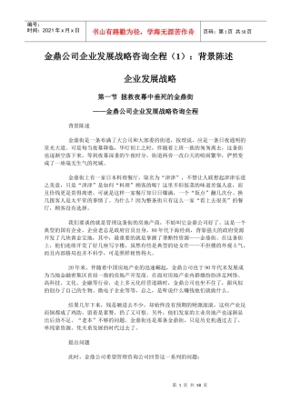 某公司企业发展战略咨询全程概述