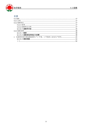 某公司战略报告(DOC 40页)
