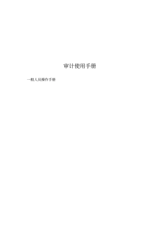 审计使用手册