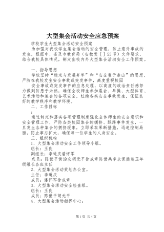 大型集会活动安全应急处理预案