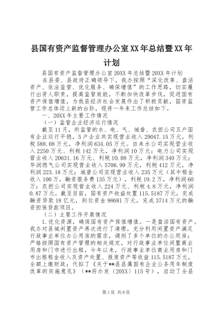 县国有资产监督管理办公室总结暨计划
