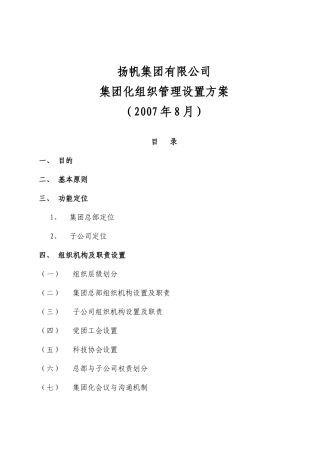 某公司集团化组织管理设置方案