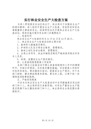 实行林业安全生产大检查实施方案