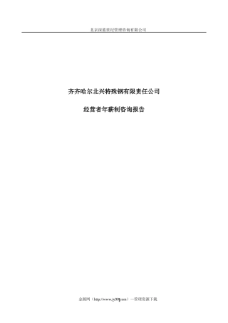 某公司年薪制咨询方案