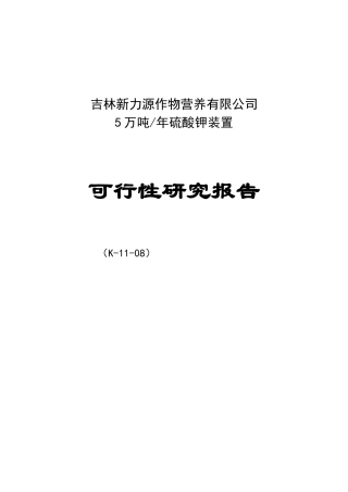 某公司硫酸钾装置可行性研究报告