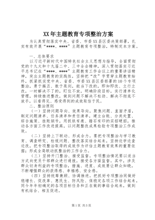 XX年主题教育专项整治实施方案