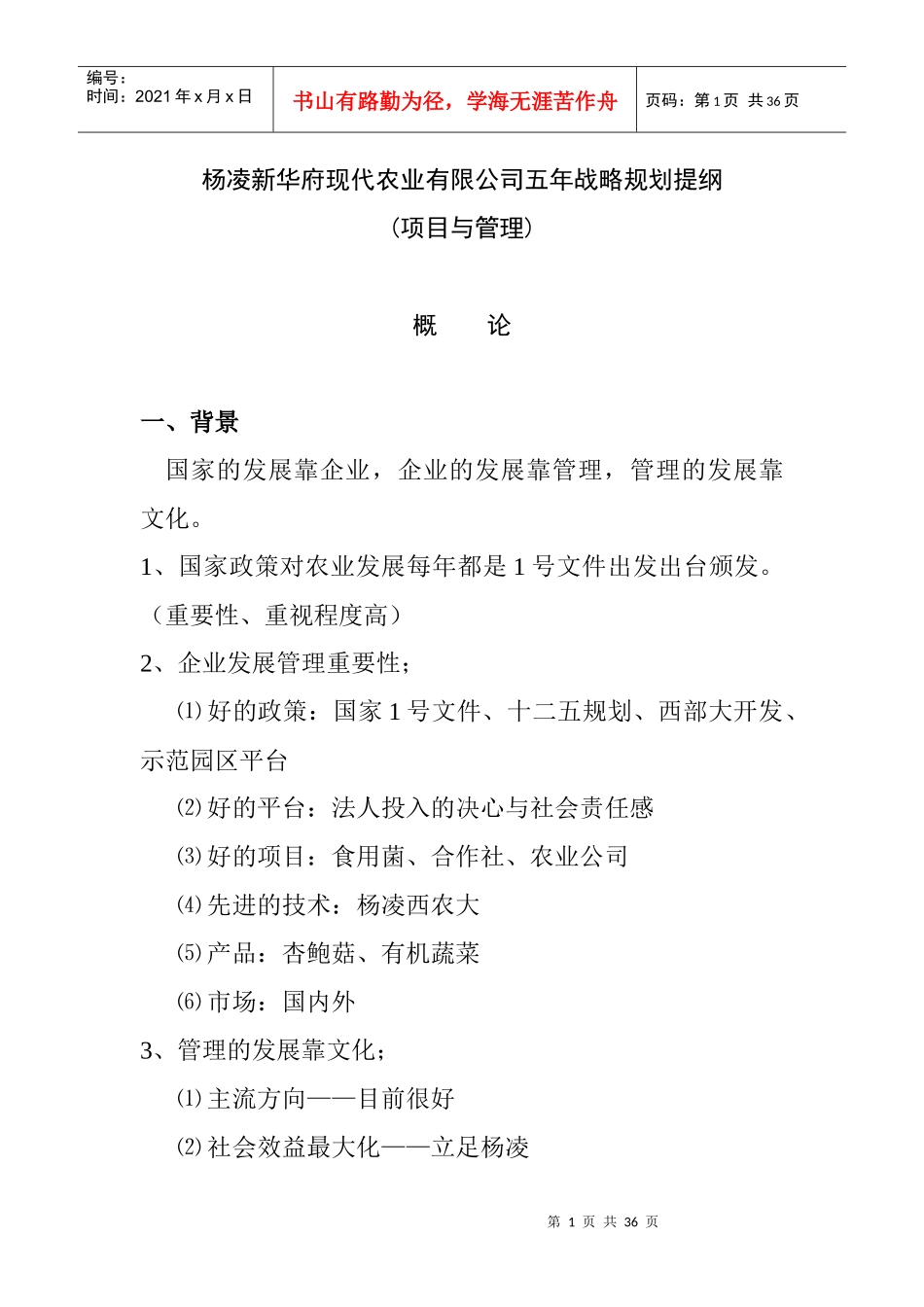 某公司五年战略规划_第1页