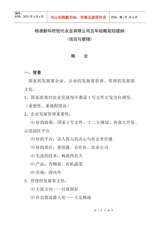 某公司五年战略规划