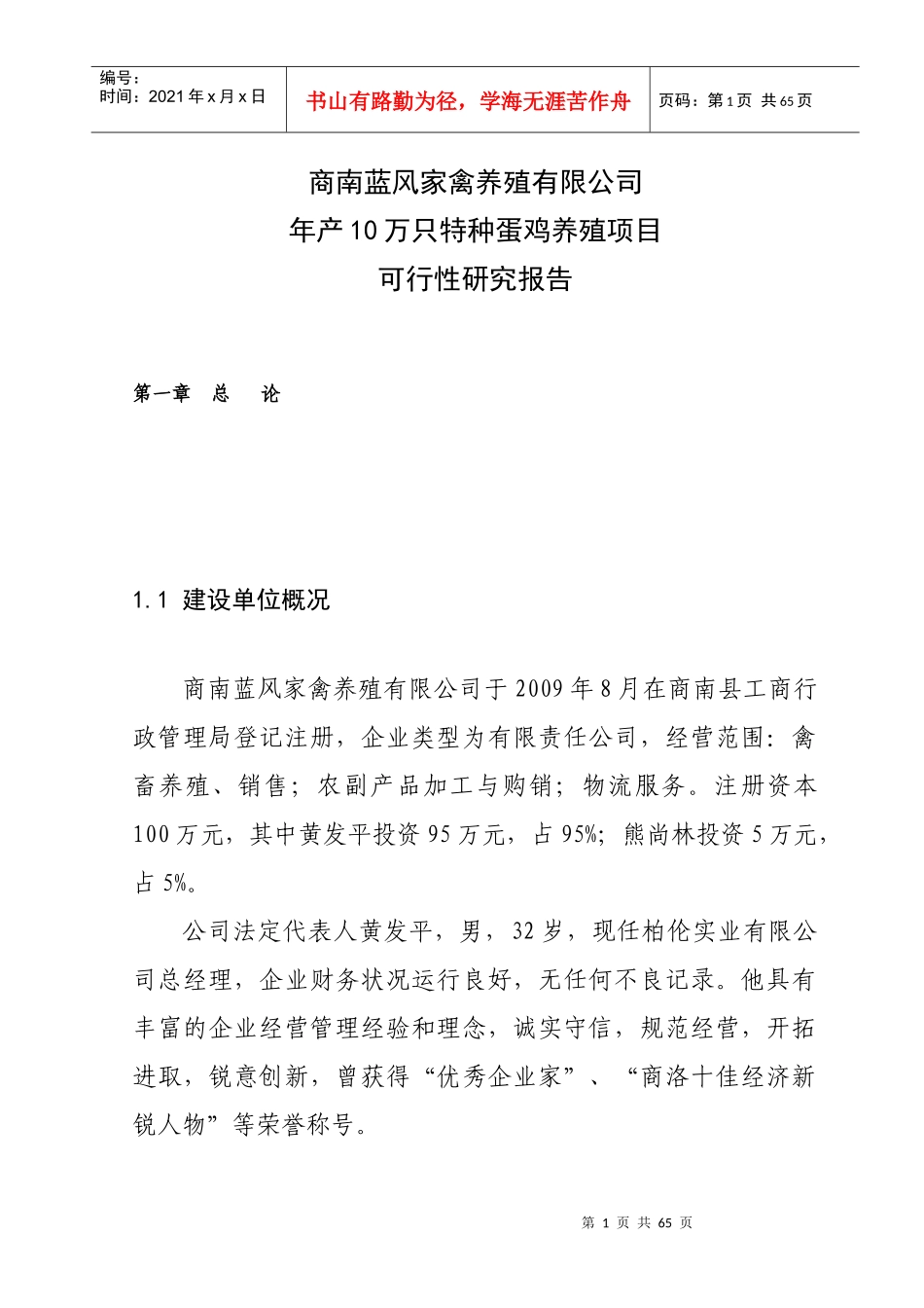 某公司项目可行性研究报告(doc 61页)_第1页