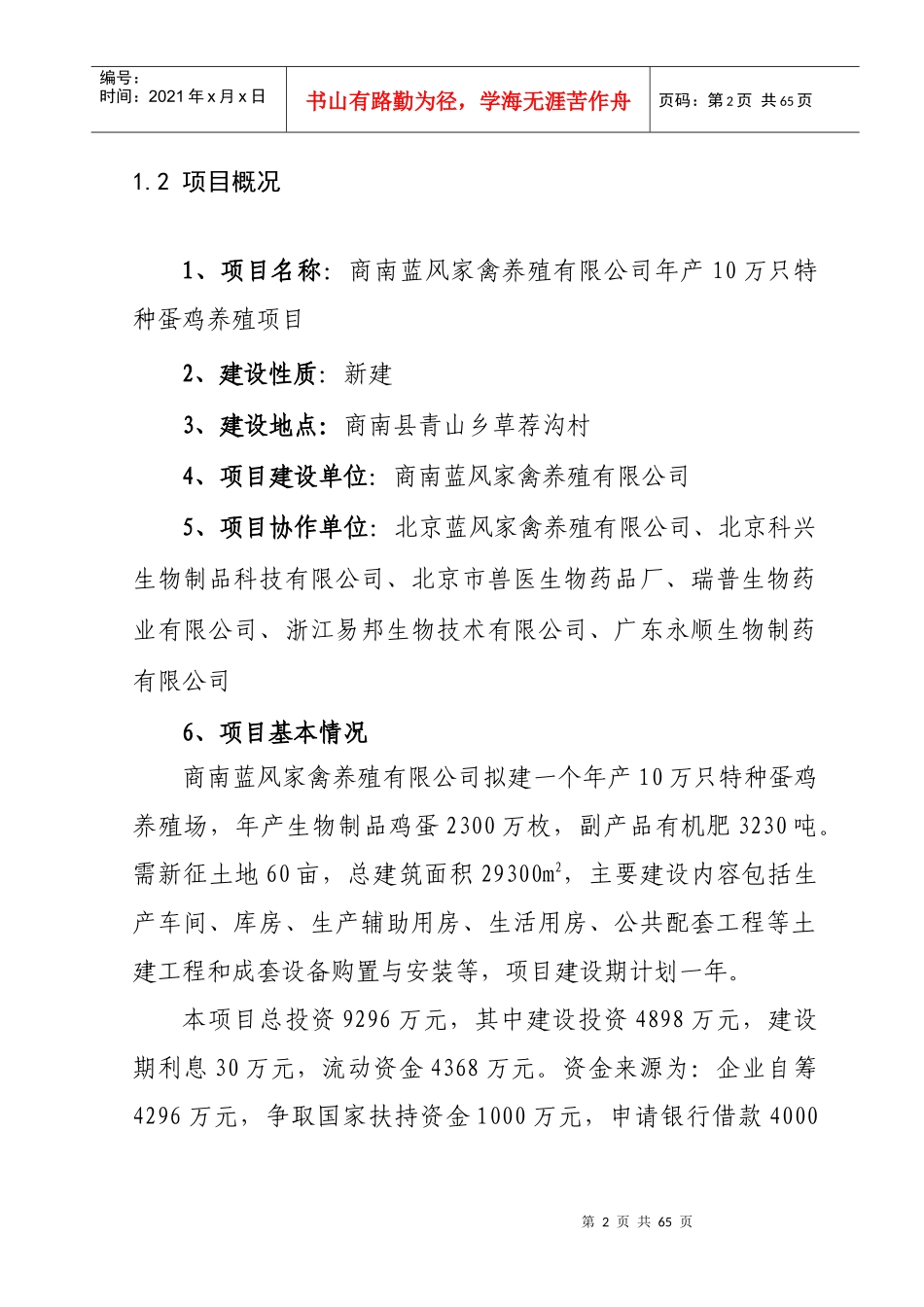 某公司项目可行性研究报告(doc 61页)_第2页
