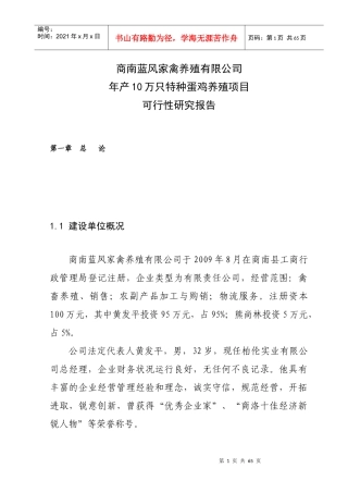 某公司项目可行性研究报告(doc 61页)