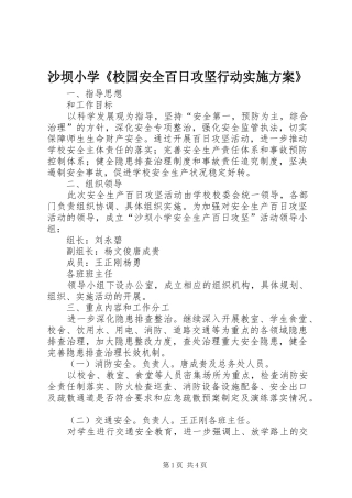 沙坝小学《校园安全百日攻坚行动方案》