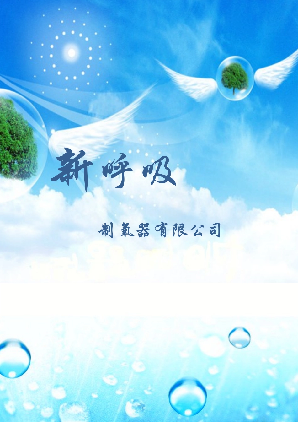 某公司商业企划书模板_第1页