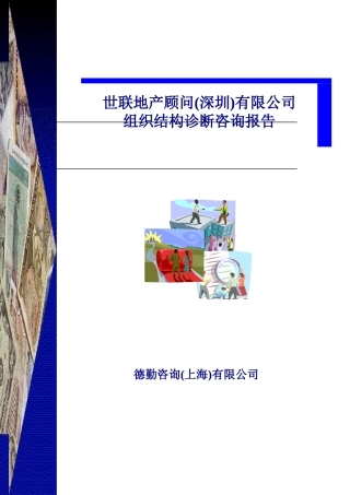 某公司组织结构诊断咨询报告(doc 18页)