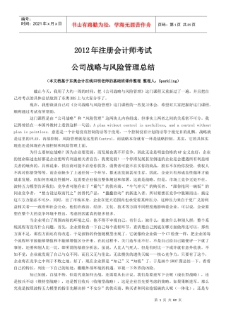 某公司战略与风险管理总结