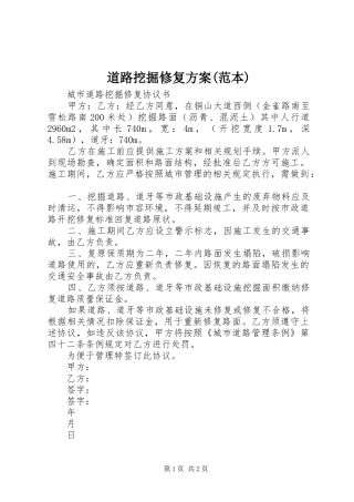 道路挖掘修复实施方案(范本)