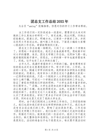 团总支工作总结
